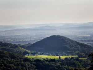 Vins de Vienne