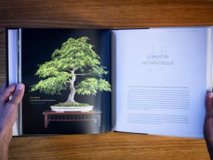 photographe illustrations livre